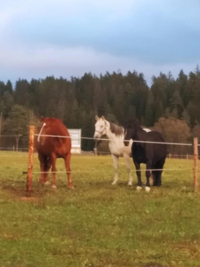 Na Dziole Bauernhof *